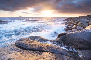 Seashore Shade